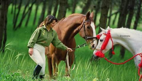 Princess Haya Bint Al Hussein 23979-princess-haya-bint-al-hussein.jpg