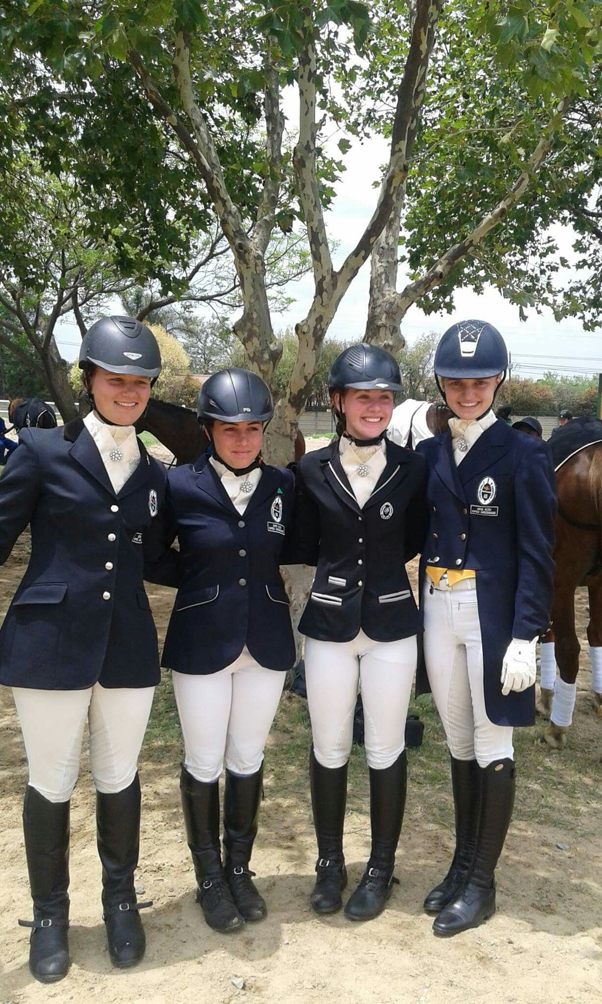 Dressage Team 25317-dressage-team.jpg