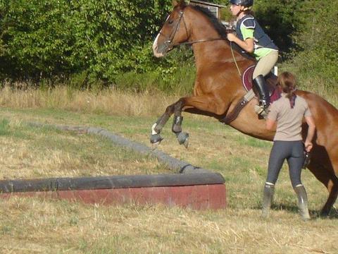 instructor wears jods & wellies 2582-instructor-wears-jods---wellies.jpg