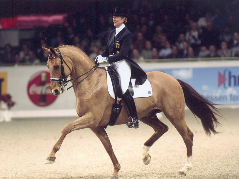 Re: dressage & shown jumping riders 2628-re--dressage---shown-jumping-riders.jpg