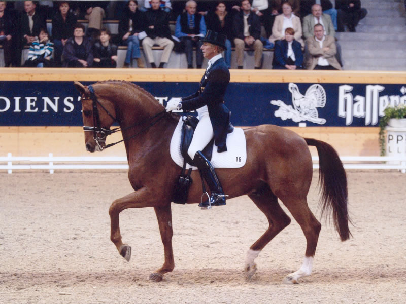 Re: dressage & shown jumping riders 2631-re--dressage---shown-jumping-riders.jpg