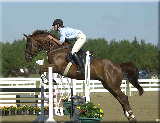 jumps clean 2688-jumps-clean.jpg