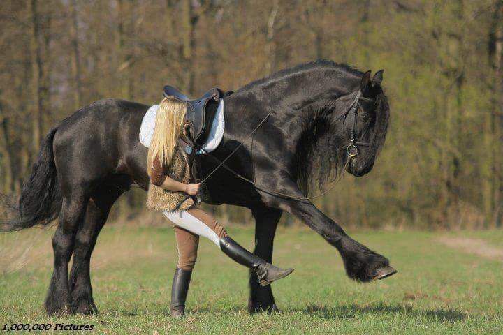 All Things Tight And Beautiful  30577-all-things-tight-and-beautiful-.jpg