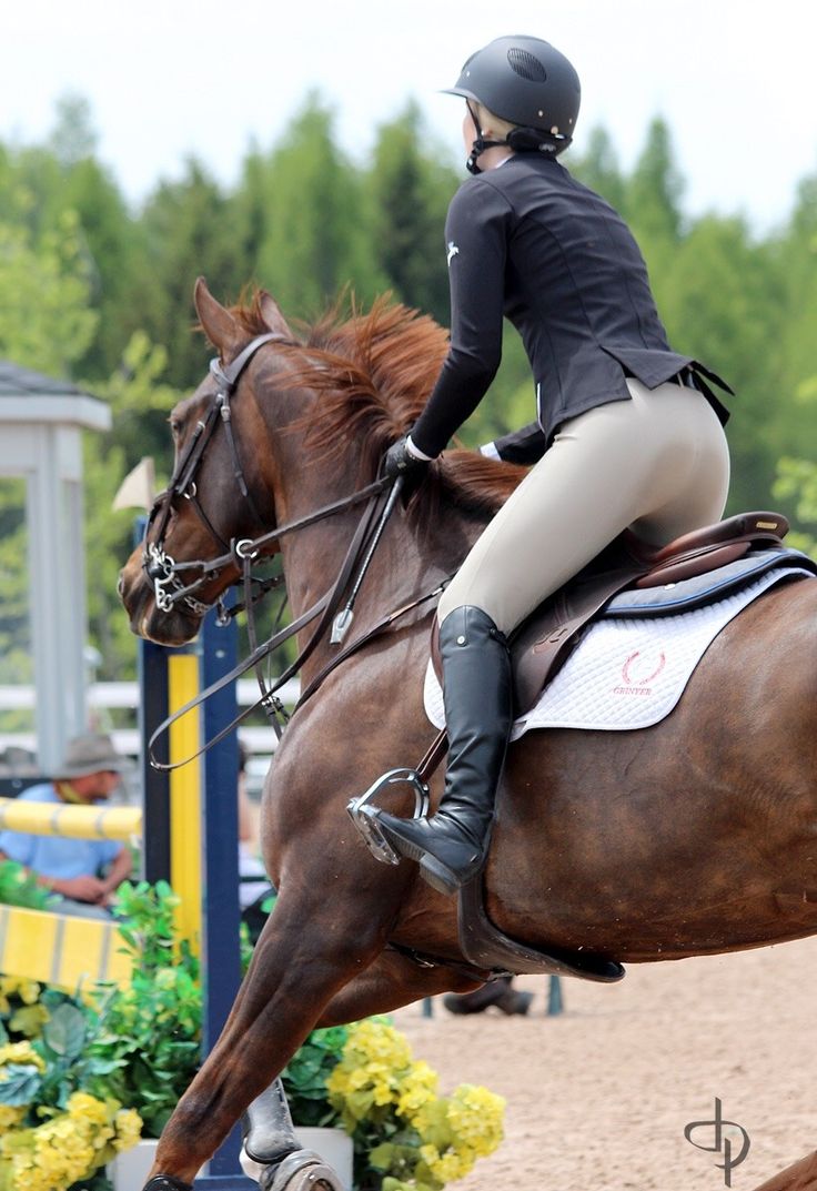 Friday Fillies 31011-friday-fillies.jpg