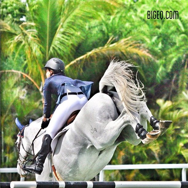 Friday Fillies 31486-friday-fillies.jpg