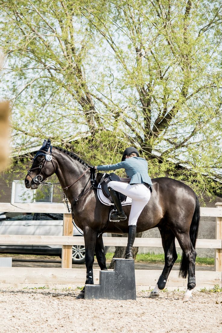 Friday Fillies 31493-friday-fillies.jpg