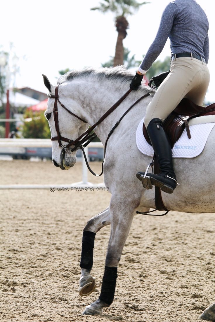 Friday Fillies 31494-friday-fillies.jpg