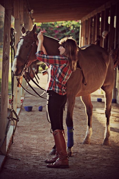 Friday Fillies 31500-friday-fillies.jpg