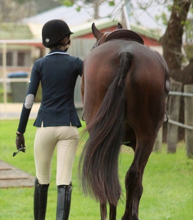 Friday Fillies 31501-friday-fillies.jpg