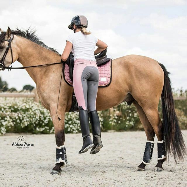 Friday Fillies 31556-friday-fillies.jpg