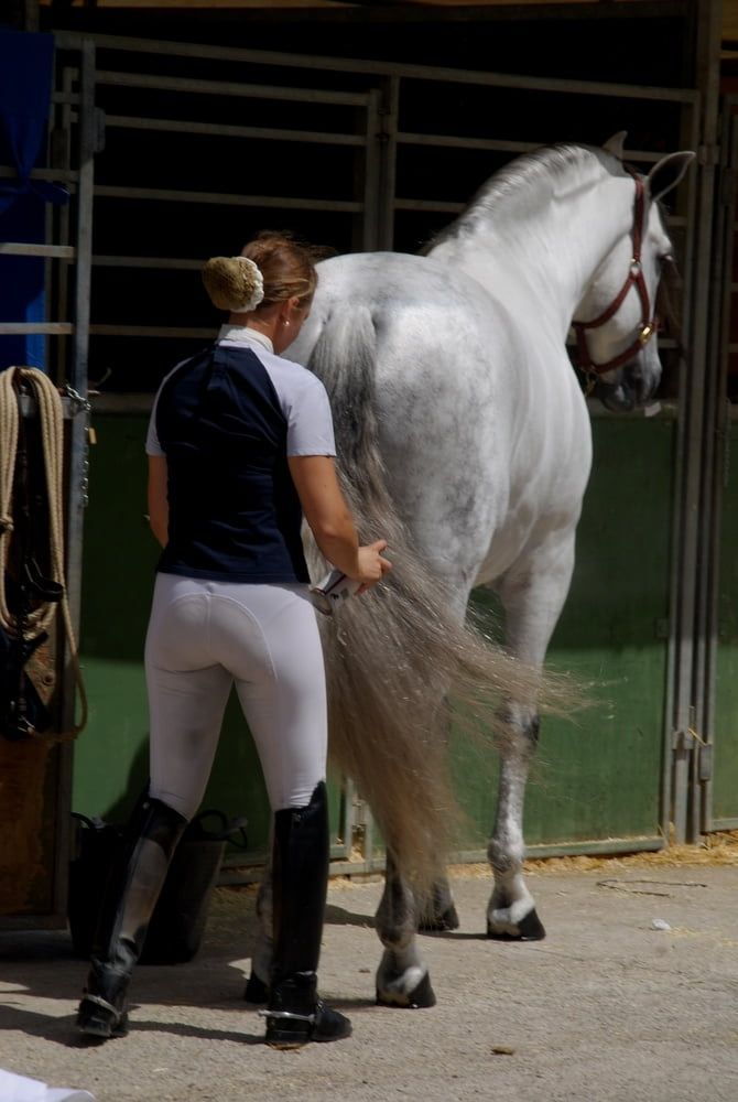 The Very Alluring Tightly Breeched Derriere 31723-the-very-alluring-tightly-breeched-derriere.jpg