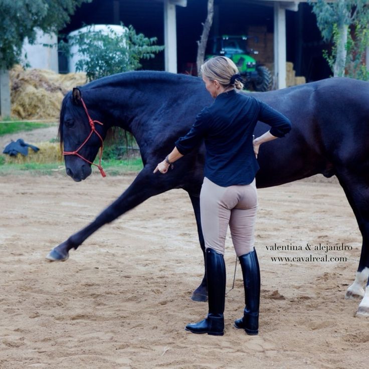 The Very Alluring Tightly Breeched Derriere 31733-the-very-alluring-tightly-breeched-derriere.jpg