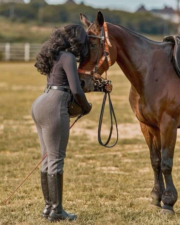 Black Beauty 31987-black-beauty.jpg