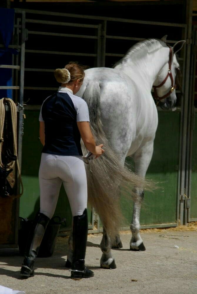 The Very Alluring Tightly Breeched Derriere 32027-the-very-alluring-tightly-breeched-derriere.jpg