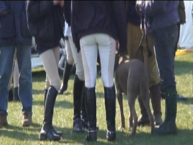 Stiils from vid - Eventing trio 3247-stiils-from-vid---eventing-trio.jpg