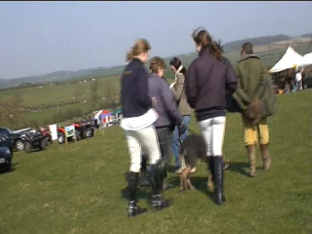 Stiils from vid - Eventing trio 3249-stiils-from-vid---eventing-trio.jpg