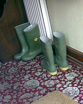 Abandoned Wellies 3280-abandoned-wellies.jpg