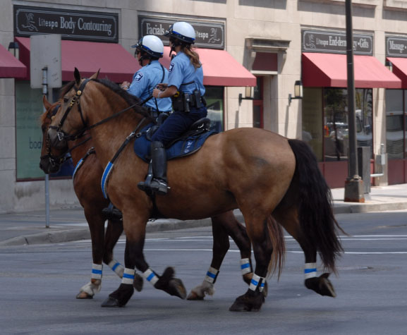 Re: uniform and ridingboots 335-re--uniform-and-ridingboots.jpg