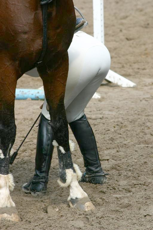 an arse checks her horse 3365-an-arse-checks-her-horse.jpg