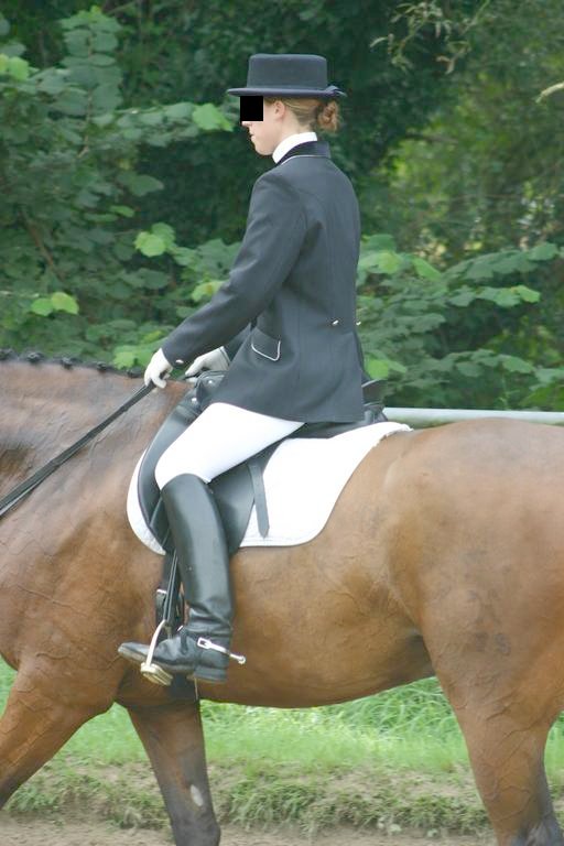 dressage rider 3366-dressage-rider.jpg