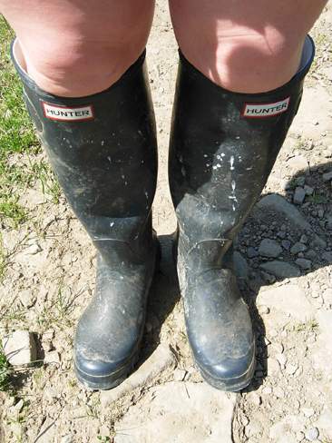 like hunter wellies ? 3403-like-hunter-wellies--.jpg