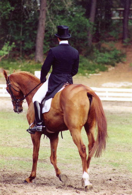 he rides dressage 3446-he-rides-dressage.jpg