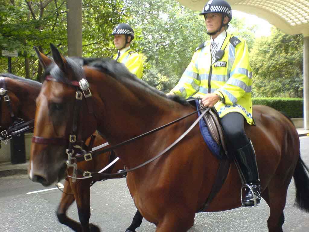 Re: uniform and ridingboots 365-re--uniform-and-ridingboots.jpg