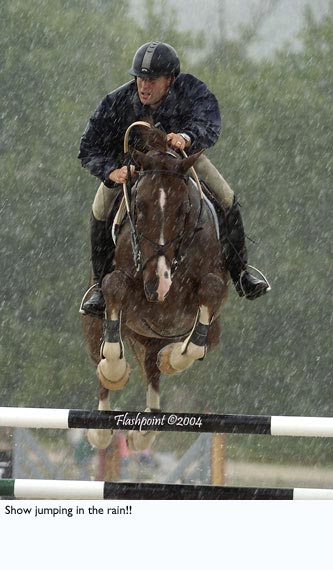 riding in the rain 4146-riding-in-the-rain.jpg