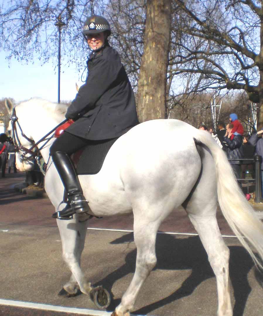 Re: uniform and ridingboots 432-re--uniform-and-ridingboots.jpg