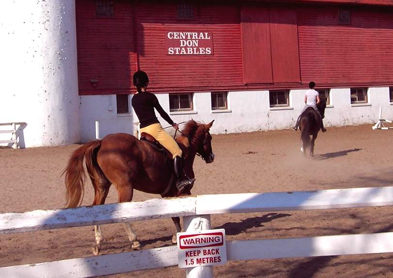 at the stables 4533-at-the-stables.jpg