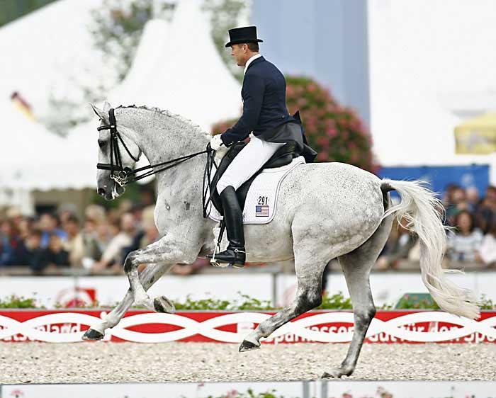 male dressage 4579-male-dressage.jpg