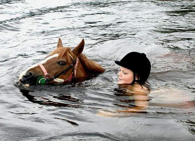 takes her horse for a swim 5008-takes-her-horse-for-a-swim.jpg