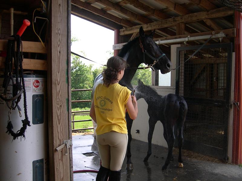 Does My Bum Look Big In These Breeches? 5111-does-my-bum-look-big-in-these-breeches-.jpg