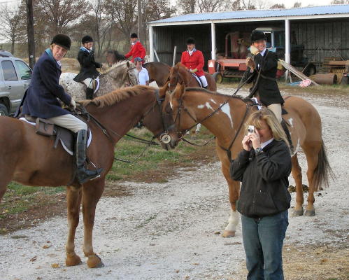 whats old hawk beek looking at ?? 5370-whats-old-hawk-beek-looking-at---.jpg