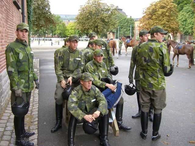 Swedish army- Royal life guard dragoons 5438-swedish-army--royal-life-guard-dragoons.jpg