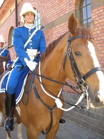 Swedish army- Royal life guard dragoons 5441-swedish-army--royal-life-guard-dragoons.jpg