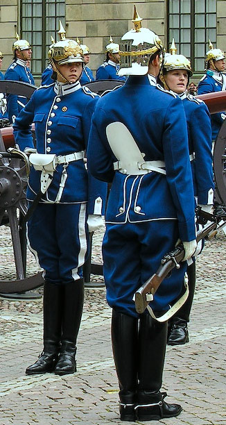 Re: Swedish army- Royal life guard dragoons 5509-re--swedish-army--royal-life-guard-dragoons.jpg