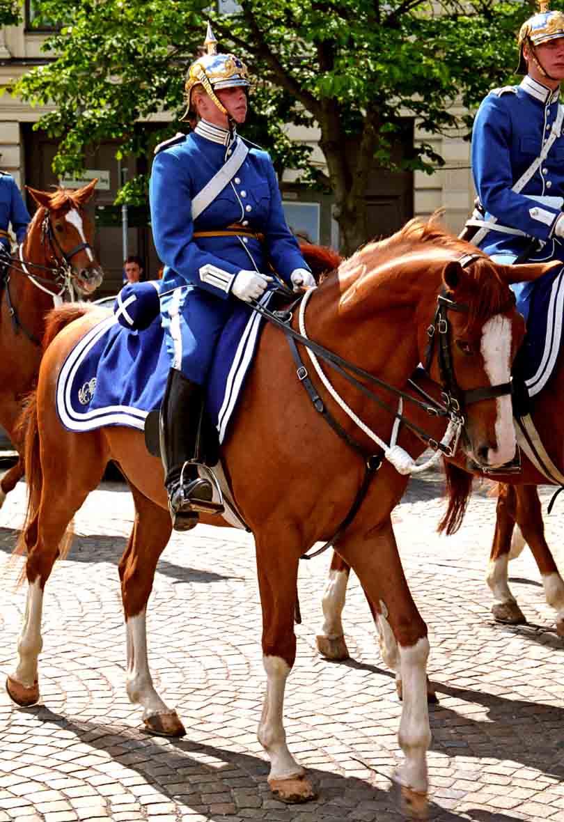 Re: Swedish army- Royal life guard dragoons 5516-re--swedish-army--royal-life-guard-dragoons.jpg