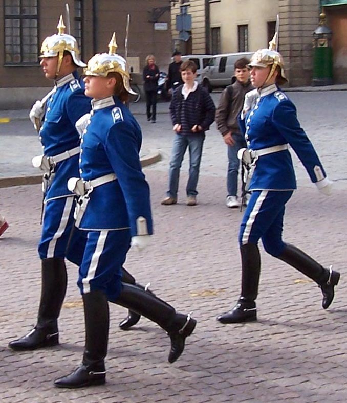 Re: Swedish army- Royal life guard dragoons 5588-re--swedish-army--royal-life-guard-dragoons.jpg