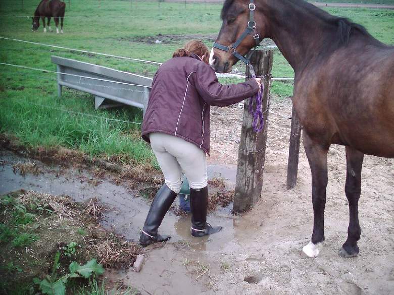 careful in rubber ridingboots 6195-careful-in-rubber-ridingboots.jpg