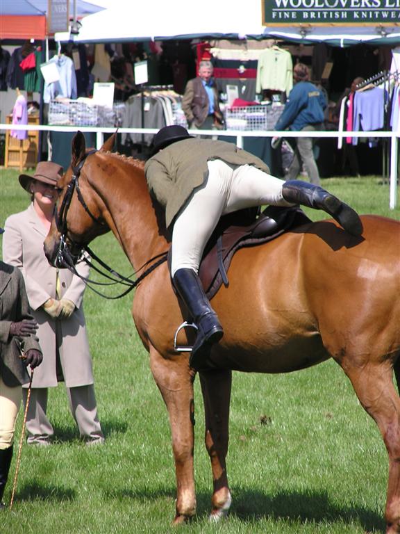 Windsor horse show 6320-windsor-horse-show.jpg