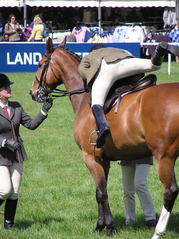 Windsor horse show 6321-windsor-horse-show.jpg