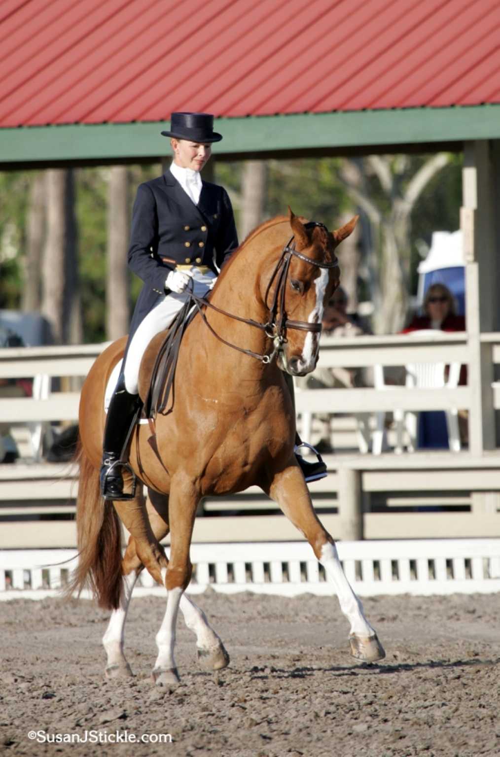 she rides dressage 6934-she-rides-dressage.jpg