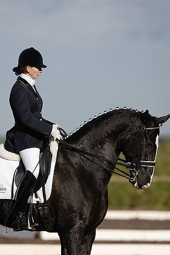 Some dressage pictures. 6951-some-dressage-pictures-.jpg