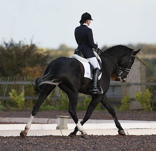 Some dressage pictures. 6952-some-dressage-pictures-.jpg