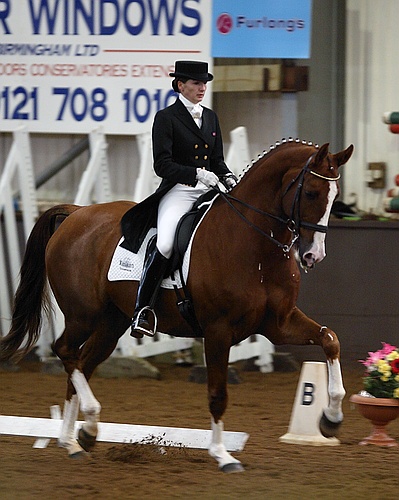 Some dressage pictures. 6953-some-dressage-pictures-.jpg