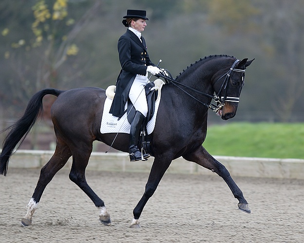 Some dressage pictures. 6954-some-dressage-pictures-.jpg