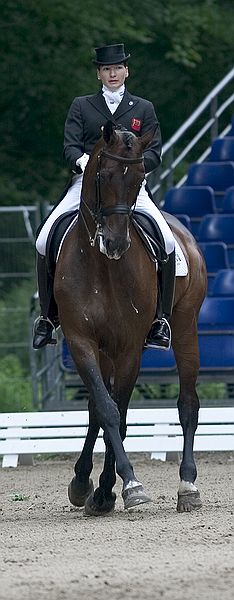 Some dressage pictures. 6955-some-dressage-pictures-.jpg