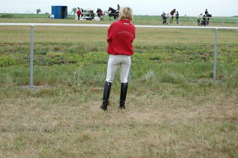 full seat breeches 6990-full-seat-breeches.jpg