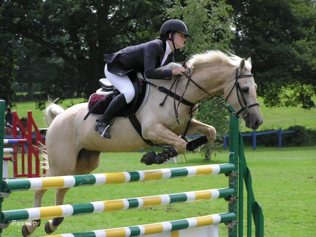 show jumper 7027-show-jumper.jpg